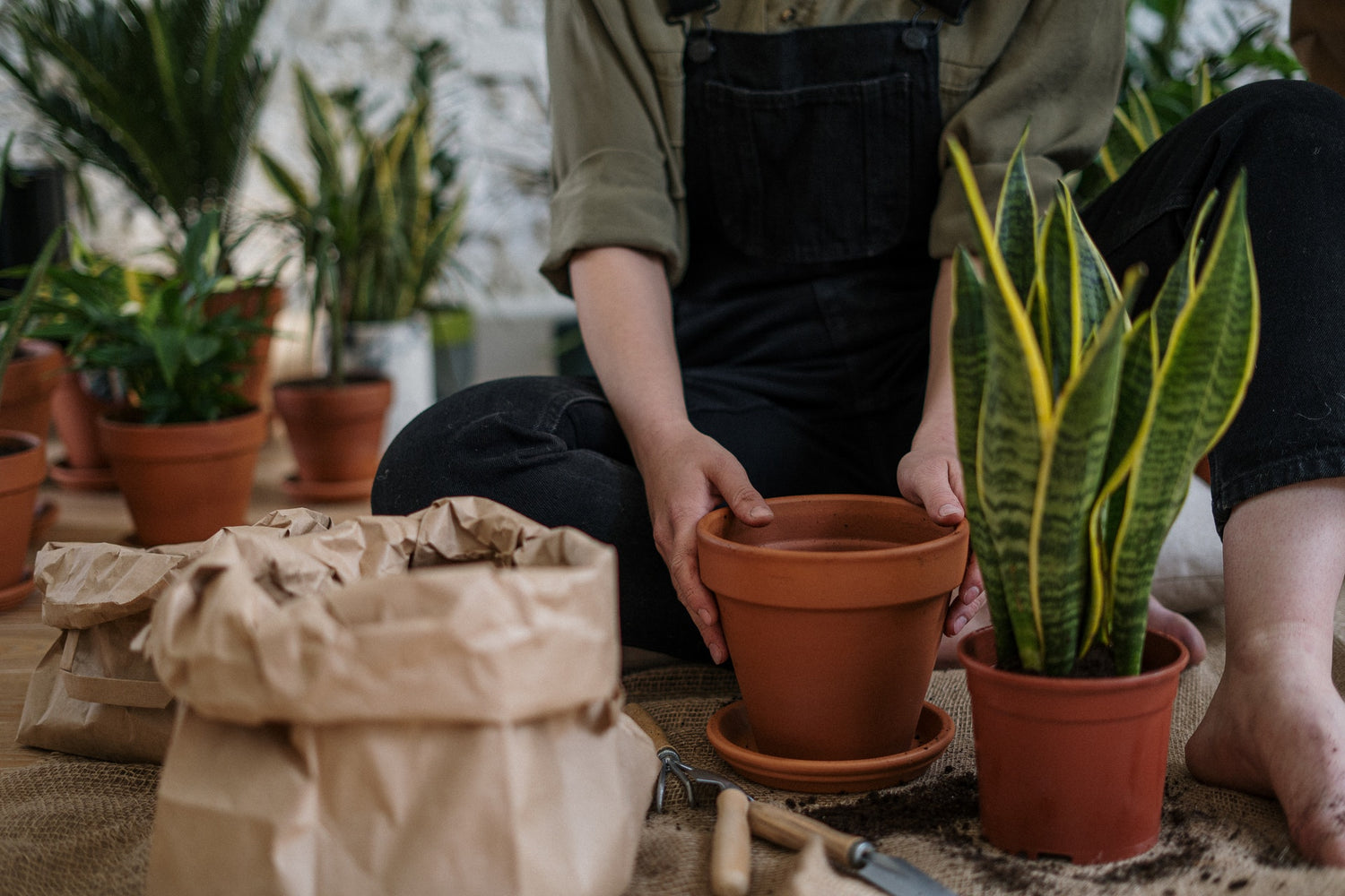 Planters, Pots, Vases and Containers