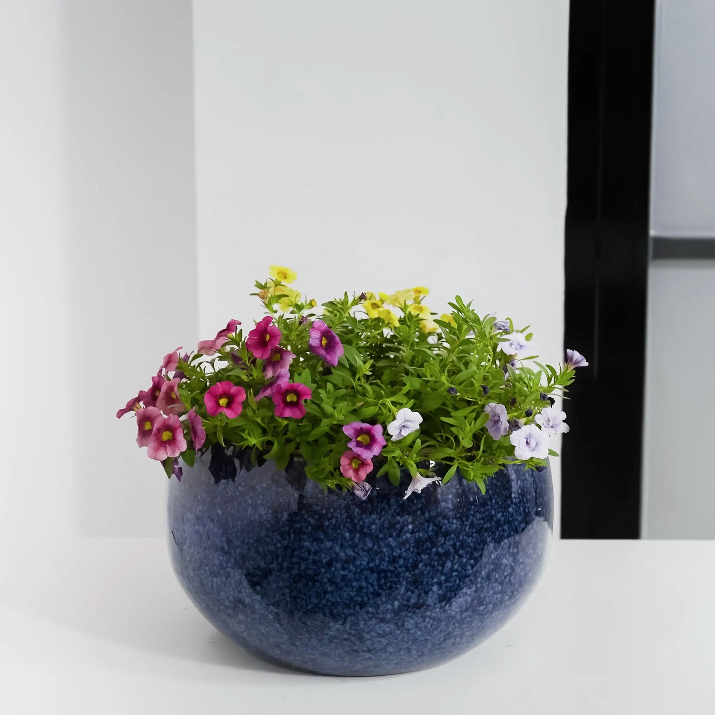 Pottery 12" Toramina Speckled Ceramic Planter for use indoors or out with a removable plug