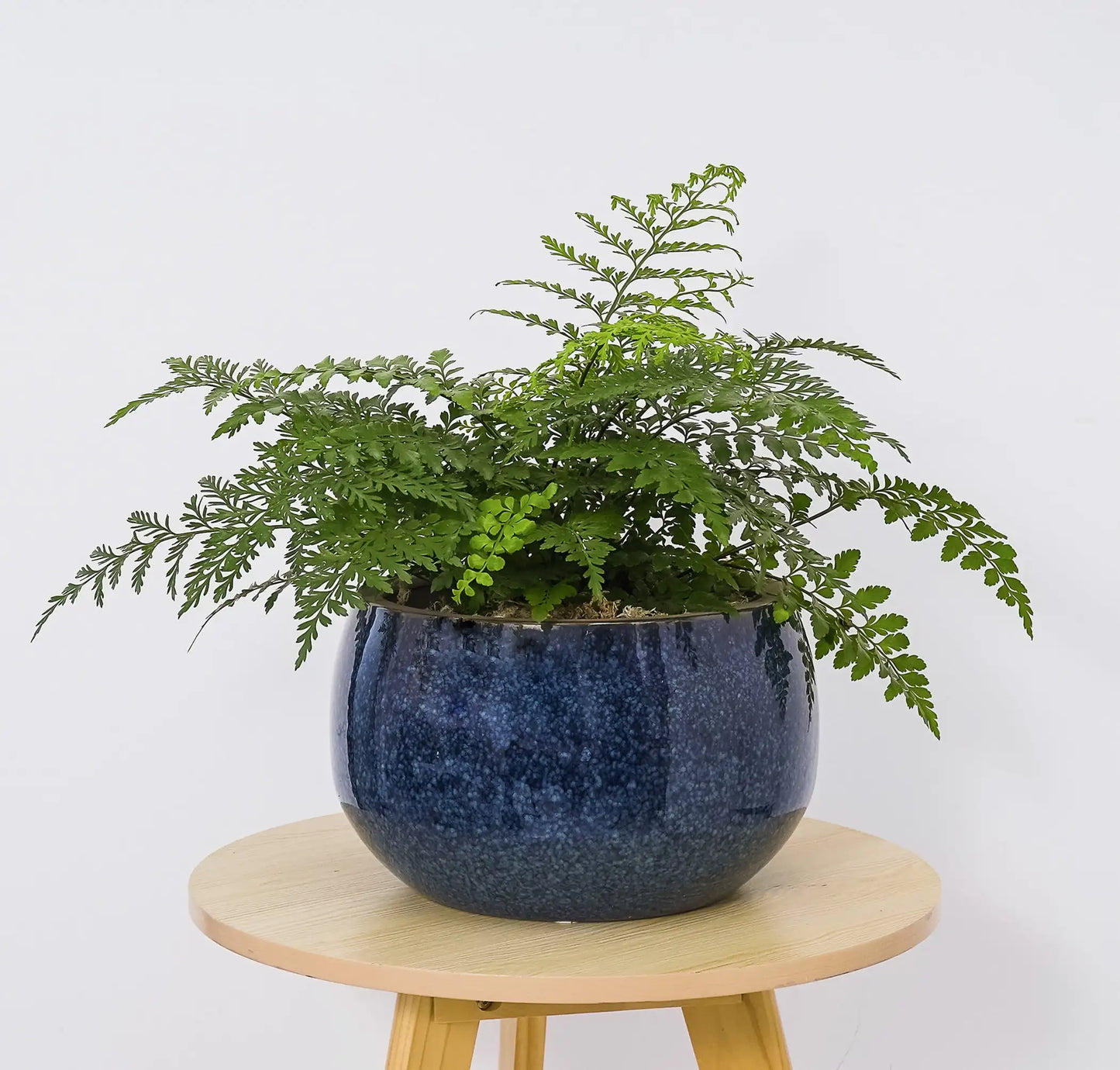 Pottery 12" Toramina Speckled Ceramic Planter for use indoors or out with a removable plug